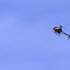 11. Eierfliegen @ MSG Gechingen 02.04.2018