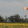 11. KirchheimOpen 2014