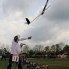 11. KirchheimOpen 2014