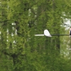 11. KirchheimOpen 2014