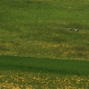 11. KirchheimOpen 2014