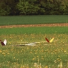 11. KirchheimOpen 2014