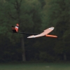 11. KirchheimOpen 2014