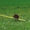 11. KirchheimOpen 2014