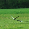 11. KirchheimOpen 2014