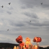 11th Jet World Masters Leutkirch 23.08.2015