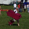 12. Laichinger Drachenfest