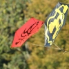 12. Laichinger Drachenfest