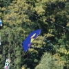 12. Laichinger Drachenfest