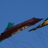 12. Laichinger Drachenfest