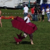 12. Laichinger Drachenfest