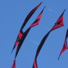 12. Laichinger Drachenfest