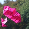 12. Laichinger Drachenfest
