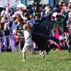 12. Laichinger Drachenfest