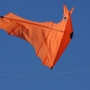 12. Laichinger Drachenfest