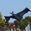 12. Laichinger Drachenfest