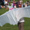 12. Laichinger Drachenfest