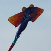 12. Laichinger Drachenfest
