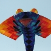 12. Laichinger Drachenfest