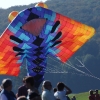 12. Laichinger Drachenfest