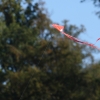 12. Laichinger Drachenfest