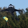 12. Laichinger Drachenfest