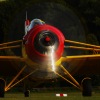 1dfh-ott-030909-013