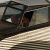 1dfh-ott-040909-026