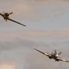 1dfh-ott-050909-051