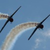1dfh-ott-060909-033