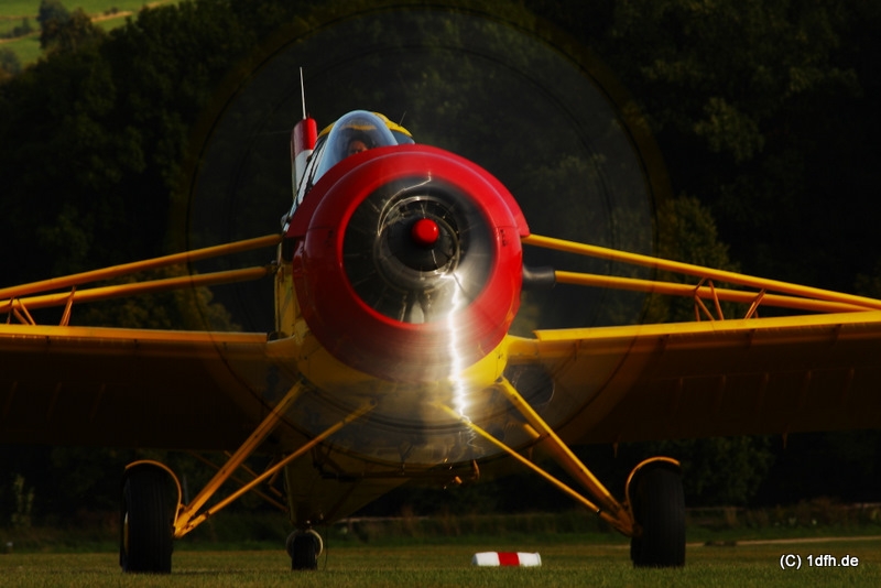 1dfh-ott-030909-013