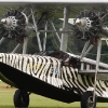 16. Oldtimer-Fliegertreffen Hahnweide 02.09.2011