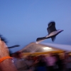 16. Oldtimer-Fliegertreffen Hahnweide 02.09.2011