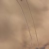 16. OTT Hahnweide 03.09. - 04.09.2011