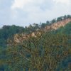 17. Heidelberger Vatertags-Helitreffen