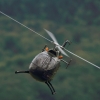17. Heidelberger Vatertags-Helitreffen