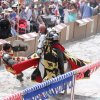 17. Maximilian Ritterspiele Horb