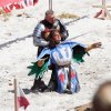 17. Maximilian Ritterspiele Horb