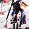 17. Maximilian Ritterspiele Horb