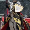 17. Maximilian Ritterspiele Horb