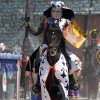 17. Maximilian Ritterspiele Horb