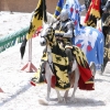 17. Maximilian Ritterspiele Horb