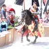 17. Maximilian Ritterspiele Horb