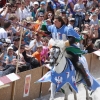 17. Maximilian Ritterspiele Horb