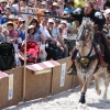 17. Maximilian Ritterspiele Horb