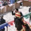 17. Maximilian Ritterspiele Horb