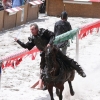 17. Maximilian Ritterspiele Horb
