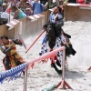 17. Maximilian Ritterspiele Horb