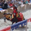 17. Maximilian Ritterspiele Horb