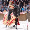 17. Maximilian Ritterspiele Horb